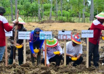 Pemkab Pohuwato Komitmen Dorong Inovasi dan Pengembangan Sektor Pertanian di Pohuwato