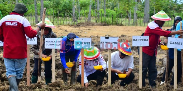 Pemkab Pohuwato Komitmen Dorong Inovasi dan Pengembangan Sektor Pertanian di Pohuwato