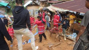 Polda Gorontalo Turunkan Bid Dokkes Evakuasi dan Identifikasi Korban Longsor di Suwawa Timur