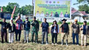 Tekan Inflasi dan Perkuat Ketahanan Pangan, Pohuwato Dorong Gerakan Tanam Padi Gogo