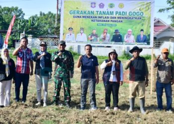 Tekan Inflasi dan Perkuat Ketahanan Pangan, Pohuwato Dorong Gerakan Tanam Padi Gogo