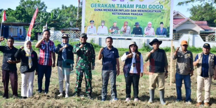 Tekan Inflasi dan Perkuat Ketahanan Pangan, Pohuwato Dorong Gerakan Tanam Padi Gogo