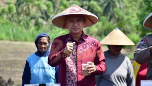 Pohuwato Siap Jadi Sentra Padi Gogo di Provinsi Gorontalo
