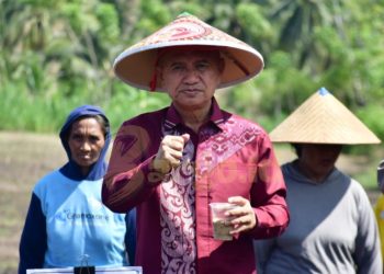 Pohuwato Siap Jadi Sentra Padi Gogo di Provinsi Gorontalo