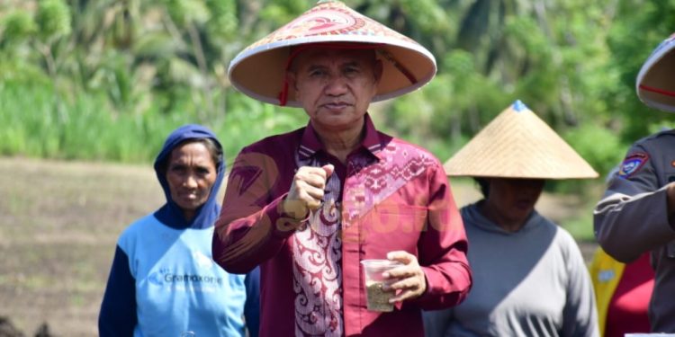 Pohuwato Siap Jadi Sentra Padi Gogo di Provinsi Gorontalo