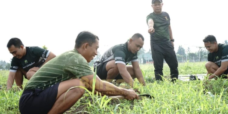 Prajurit Korem 133/Nani Wartabone Galakkan Ketahanan Pangan Melalui Kebun Jagung
