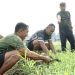 Prajurit Korem 133/Nani Wartabone Galakkan Ketahanan Pangan Melalui Kebun Jagung