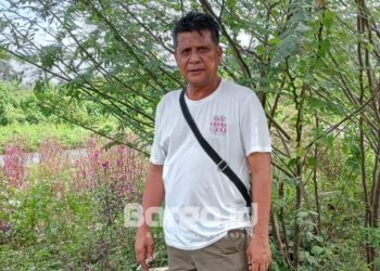 Bantuan Puluhan Miliar untuk Petani Pohuwato Dinilai Tak Efektif, LAI: Ada Aroma Tidak Sedap