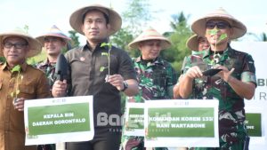 Korem 133/Nani Wartabone dan BI Tanam Cabai untuk Ketahanan Pangan di Gorontalo