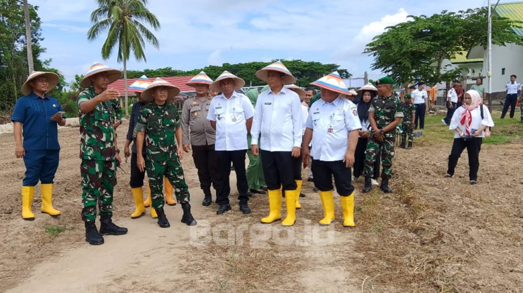 4.000 Bibit Cabai Ditanam di Pohuwato, Langkah Konkret Atasi Inflasi