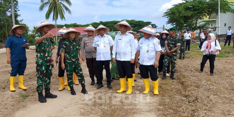 4.000 Bibit Cabai Ditanam di Pohuwato, Langkah Konkret Atasi Inflasi