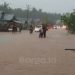 Banjir di Paguat Rendam 9 Desa, Tim Gabungan Lakukan Evakuasi