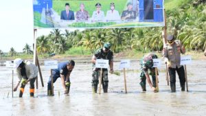 Pacu Swasembada Pangan, Pohuwato Manfaatkan Irigasi Perpompaan di Lahan Tidur