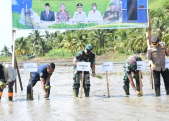 Pacu Swasembada Pangan, Pohuwato Manfaatkan Irigasi Perpompaan di Lahan Tidur