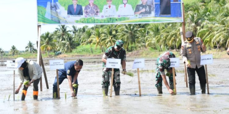 Pacu Swasembada Pangan, Pohuwato Manfaatkan Irigasi Perpompaan di Lahan Tidur