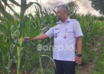 Dukung Ketahanan Pangan, Lapas Kelas IIB Pohuwato Fokus pada Program Pertanian