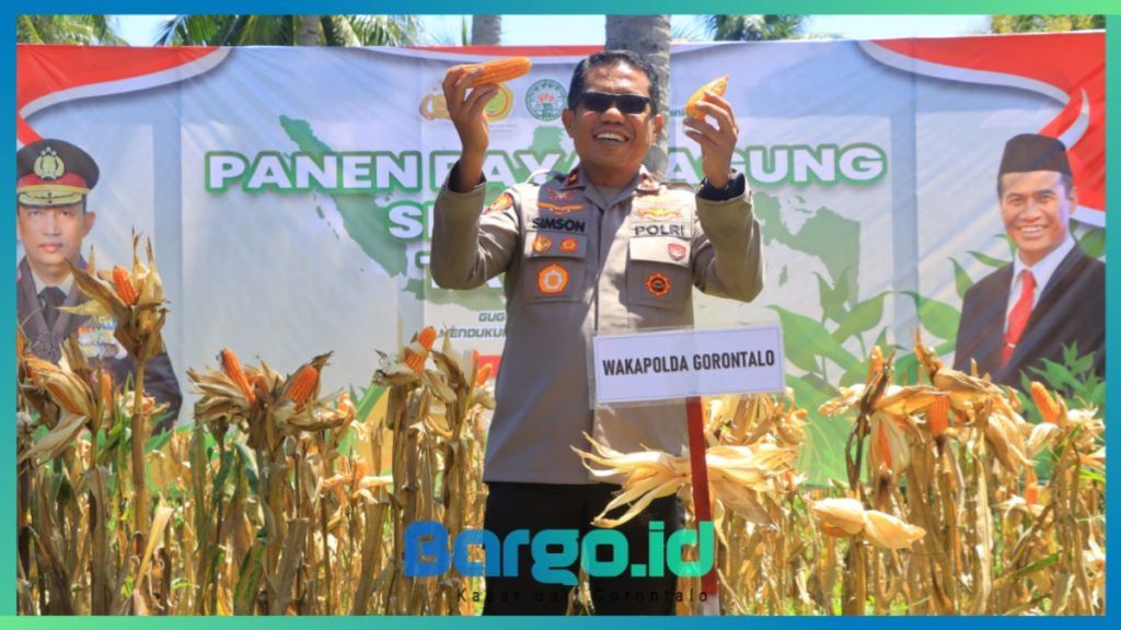 Wakapolda Gorontalo Hadiri Panen Raya Jagung, Dorong Sinergi Polri dan Petani untuk Swasembada Pangan 2025