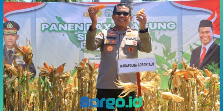 Wakapolda Gorontalo Hadiri Panen Raya Jagung, Dorong Sinergi Polri dan Petani untuk Swasembada Pangan 2025