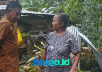 Akibat Angin Kencang, Pohon Kelapa Tumbang Timpa Rumah Warga di Wanggarasi Barat Lemito