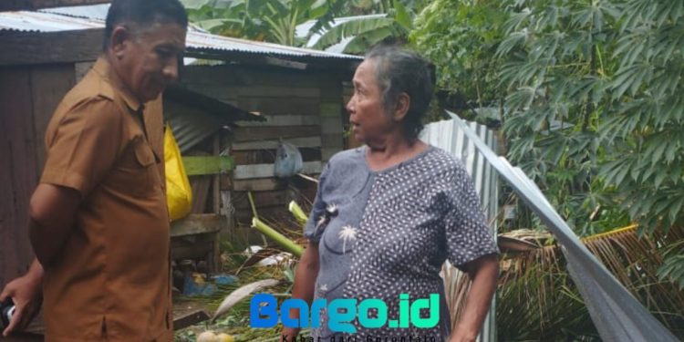 Akibat Angin Kencang, Pohon Kelapa Tumbang Timpa Rumah Warga di Wanggarasi Barat Lemito
