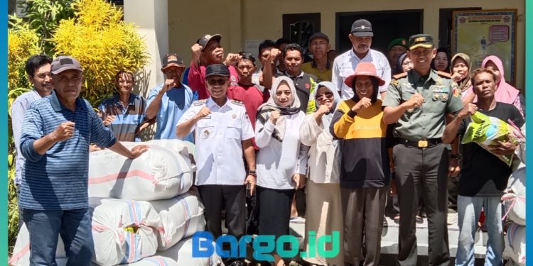 96,4 Ton Benih Padi Disalurkan, Wabup Iwan Adam: Targetkan Produksi Padi Naik!