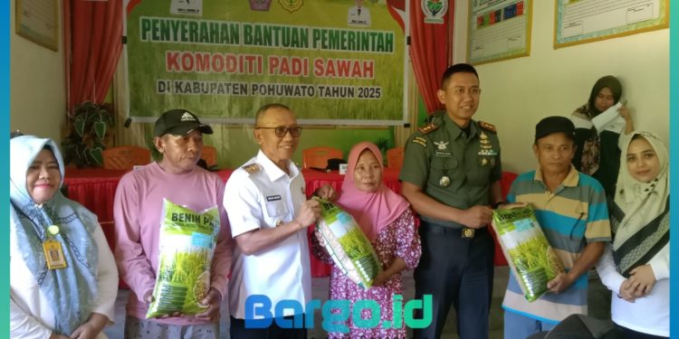 Tingkatkan Ketahanan Pangan, Dandim 1313/Pohuwato Serahkan Bantuan Benih Padi ke Petani Duhiadaa