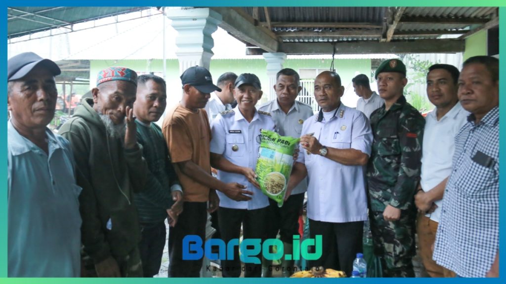Wabup Iwan Adam Serahkan Langsung Bantuan Benih Padi ke Petani di Patilanggio, Ini Harapannya