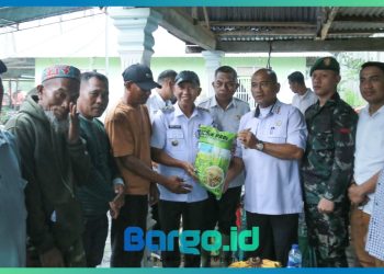 Wabup Iwan Adam Serahkan Langsung Bantuan Benih Padi ke Petani di Patilanggio, Ini Harapannya