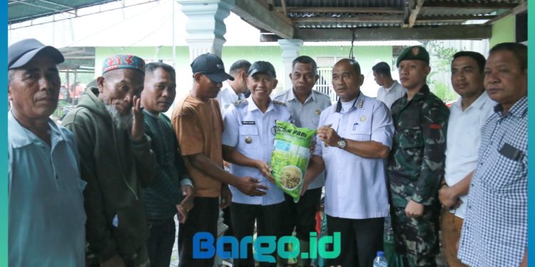 Wabup Iwan Adam Serahkan Langsung Bantuan Benih Padi ke Petani di Patilanggio, Ini Harapannya