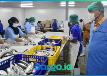 Bupati Saipul Harap Gubernur Gorontalo Perjuangkan Aspirasi Petambak Usai Tinjau Pabrik Bandeng Ekspor di Desa Dudewulo