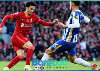 Brighton Bungkam Liverpool 3-2 dalam Laga Sengit di Amex Stadium