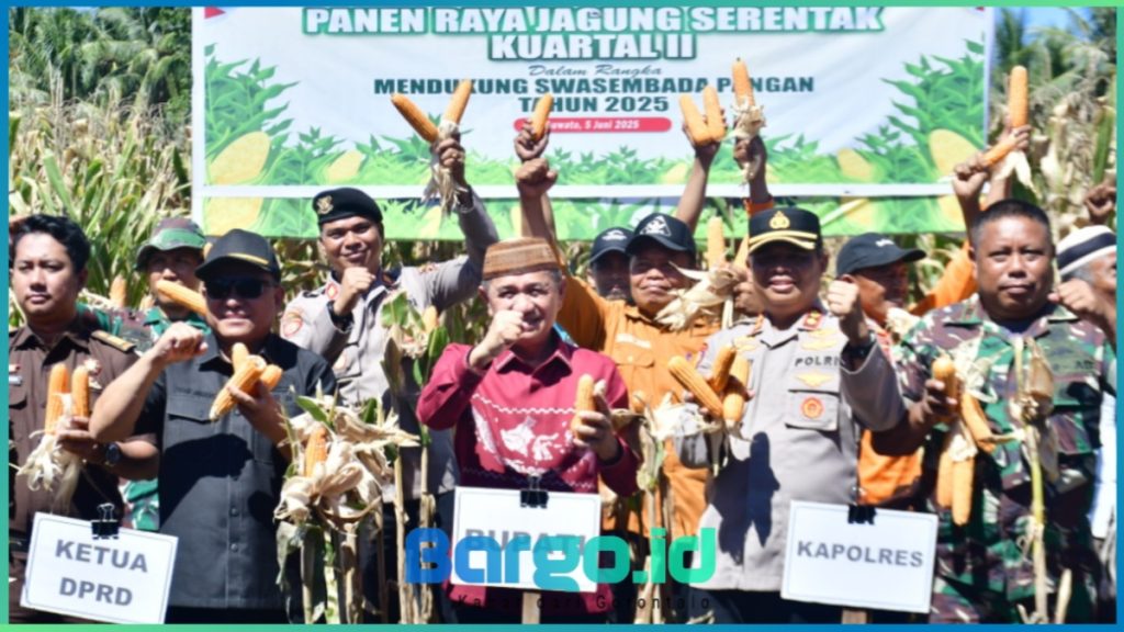 Hadiri Panen Raya Jagung Serentak Kuartal II, Bupati Saipul Tegaskan Komitmen Dukung Swasembada Pangan Nasional