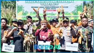 Hadiri Panen Raya Jagung Serentak Kuartal II, Bupati Saipul Tegaskan Komitmen Dukung Swasembada Pangan Nasional