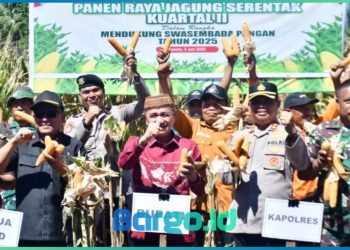 Hadiri Panen Raya Jagung Serentak Kuartal II, Bupati Saipul Tegaskan Komitmen Dukung Swasembada Pangan Nasional