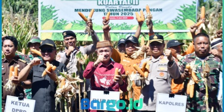 Hadiri Panen Raya Jagung Serentak Kuartal II, Bupati Saipul Tegaskan Komitmen Dukung Swasembada Pangan Nasional