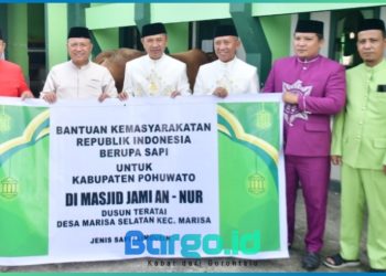 Sapi Kurban Presiden RI Diserahkan ke Masjid Jami An-Nur, Bupati Saipul: Semoga Jadi Berkah