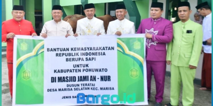 Sapi Kurban Presiden RI Diserahkan ke Masjid Jami An-Nur, Bupati Saipul: Semoga Jadi Berkah