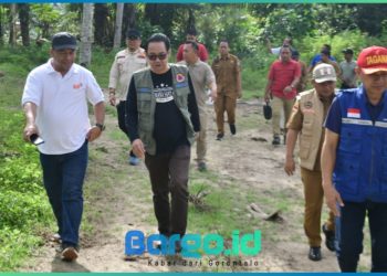 Bupati Saipul Tinjau Dampak Banjir di Kecamatan Paguat, Usulkan Pembangunan Saluran ke BNPB