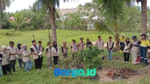 Peringati Hari Lingkungan Hidup Sedunia, Pani Gold Project Tanam Bibit Pohon