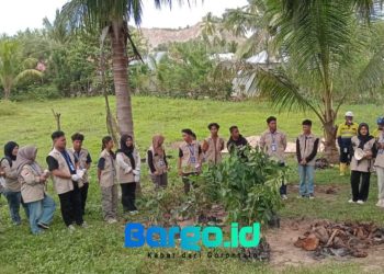 Peringati Hari Lingkungan Hidup Sedunia, Pani Gold Project Tanam Bibit Pohon