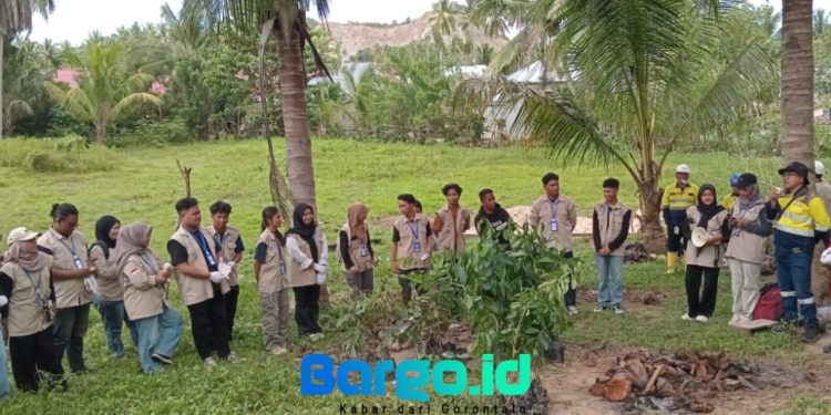 Peringati Hari Lingkungan Hidup Sedunia, Pani Gold Project Tanam Bibit Pohon