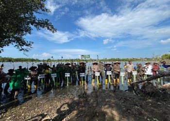 Bersama Rakyat, TNI Pohuwato Peringati HUT ke-80 dengan Aksi Tanam Mangrove
