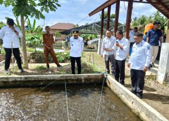 Dari Pekarangan Warga, GEBRAK IKAN Pohuwato Siap Perkuat Ekonomi Keluarga