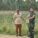 Danrem 133/NW dan Kapoksahli Pangdam XIII/Merdeka Pastikan Program Cetak Sawah Berjalan Optimal