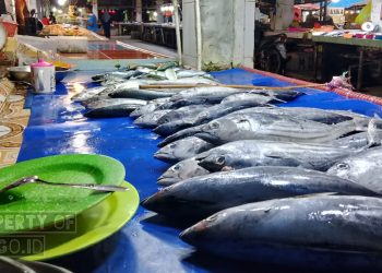 Pendapatan Pedagang Ikan Pasar Marisa Menurun Usai Penertiban Tambang di Pohuwato