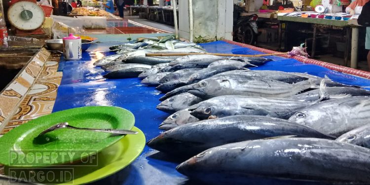 Pendapatan Pedagang Ikan Pasar Marisa Menurun Usai Penertiban Tambang di Pohuwato
