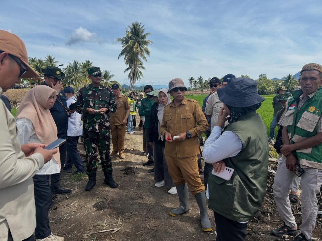 Ternyata Ini yang Dilakukan Dandim 1313 Saat Tinjau Sawah Baru di Pohuwato, Targetnya Capai Ribuan Hektare
