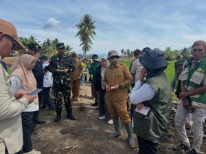 Ternyata Ini yang Dilakukan Dandim 1313 Saat Tinjau Sawah Baru di Pohuwato, Targetnya Capai Ribuan Hektare
