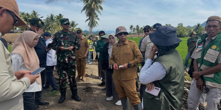 Ternyata Ini yang Dilakukan Dandim 1313 Saat Tinjau Sawah Baru di Pohuwato, Targetnya Capai Ribuan Hektare