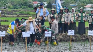 Kejar Target Nasional, Pohuwato Tanam Padi Serentak 10.000 Hektar, Ini Tantangan Besarnya